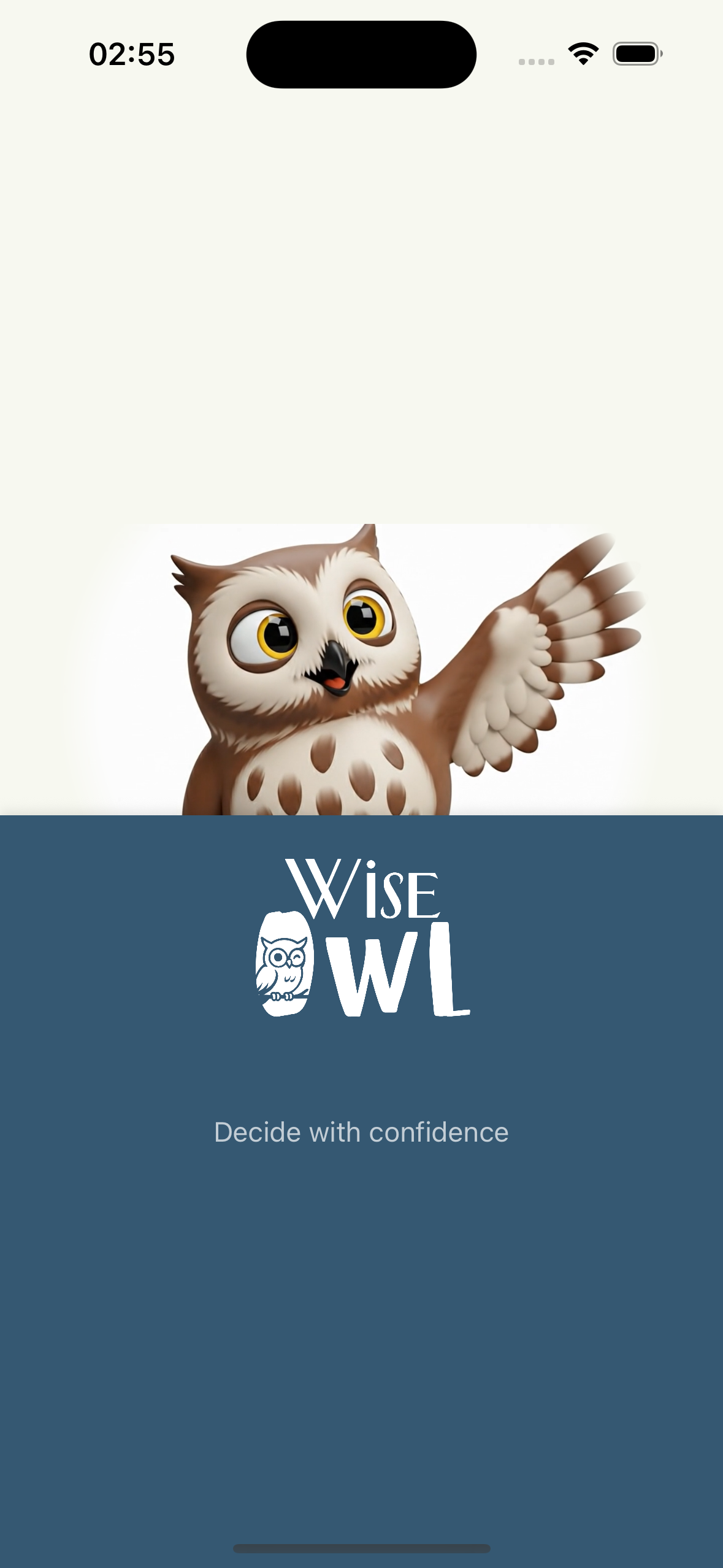 Wise Owl splash screen